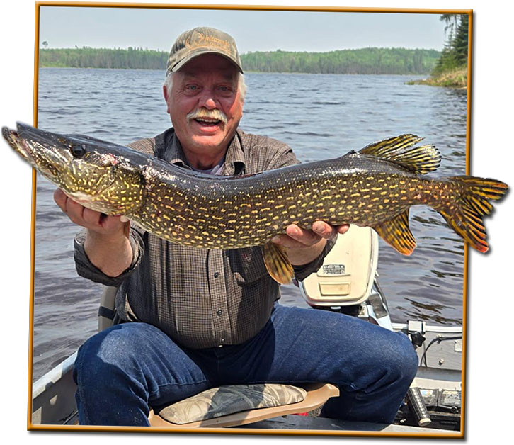 Northern Pike